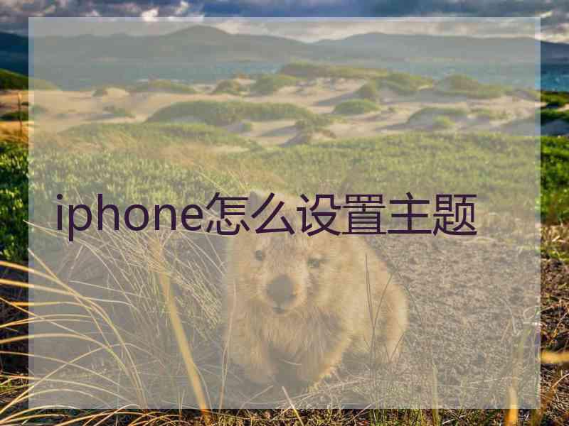 iphone怎么设置主题