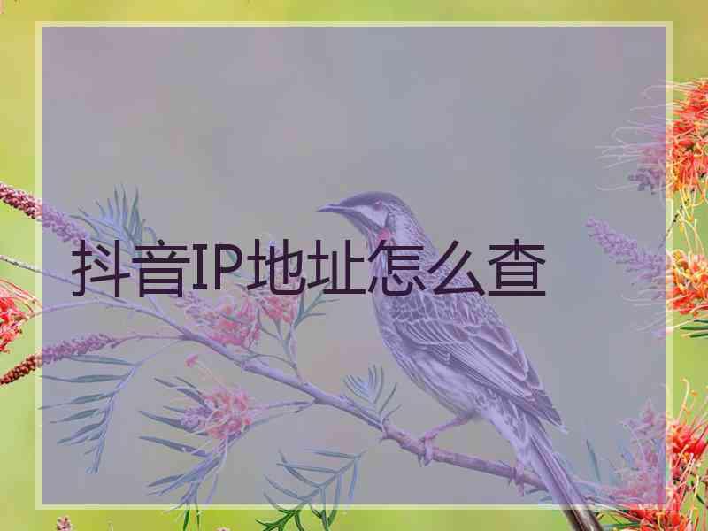 抖音IP地址怎么查