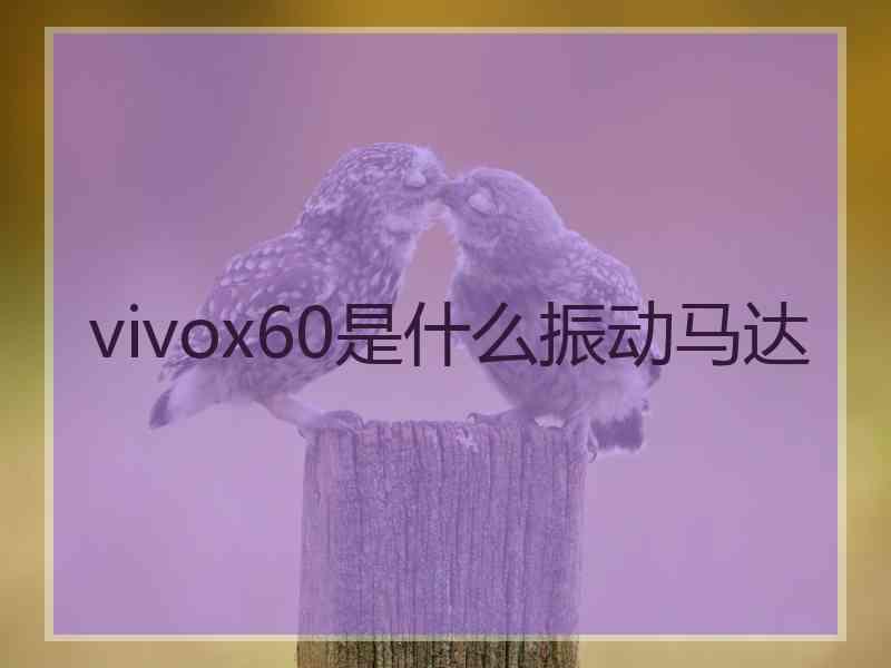 vivox60是什么振动马达