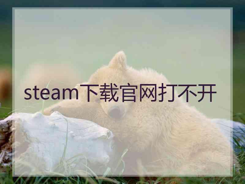 steam下载官网打不开