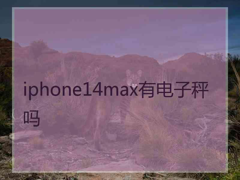 iphone14max有电子秤吗