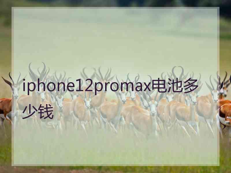 iphone12promax电池多少钱