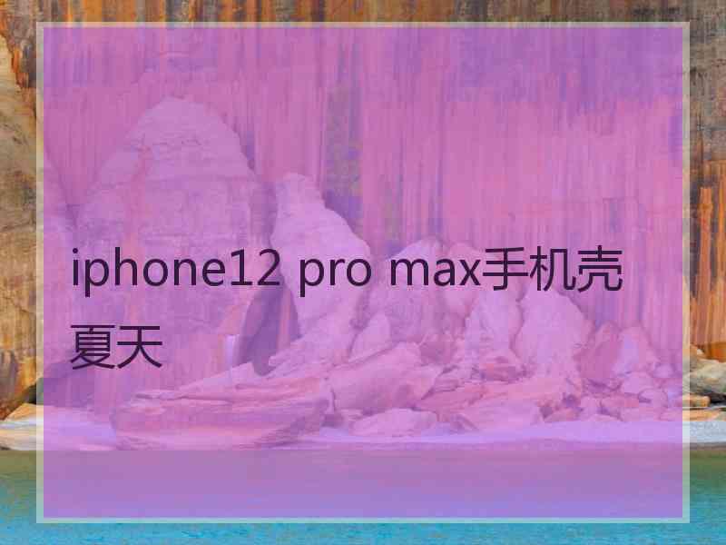 iphone12 pro max手机壳夏天