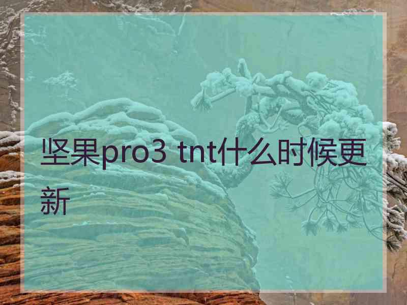 坚果pro3 tnt什么时候更新