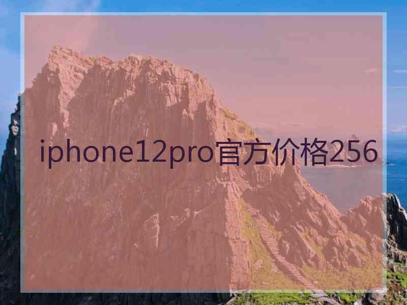 iphone12pro官方价格256