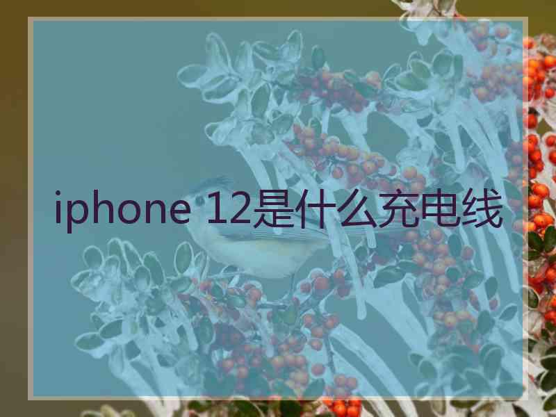 iphone 12是什么充电线