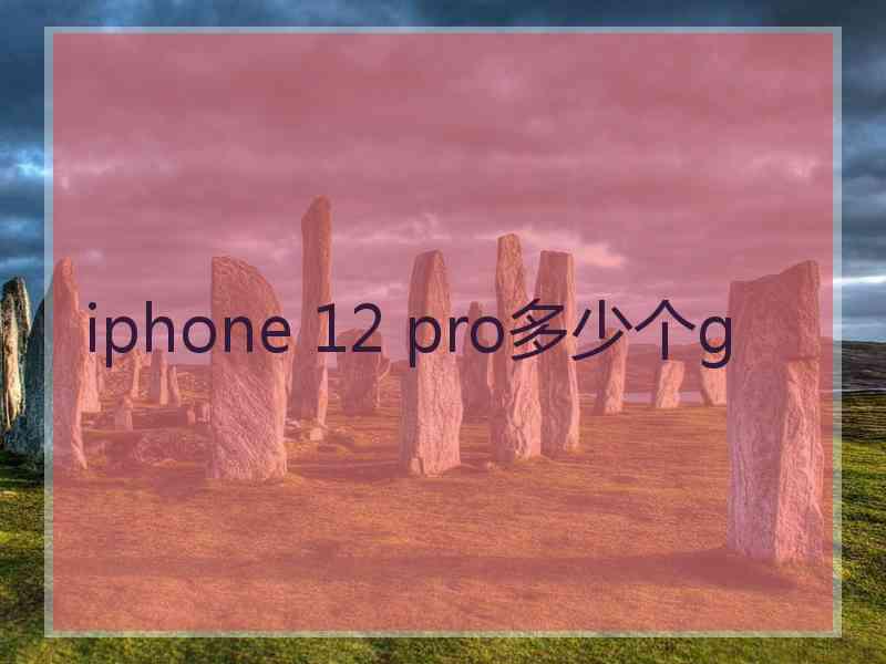 iphone 12 pro多少个g