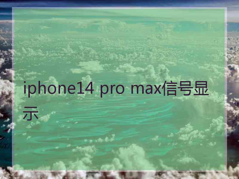 iphone14 pro max信号显示