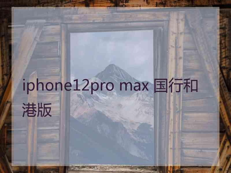 iphone12pro max 国行和港版