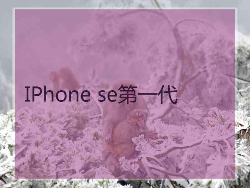 IPhone se第一代