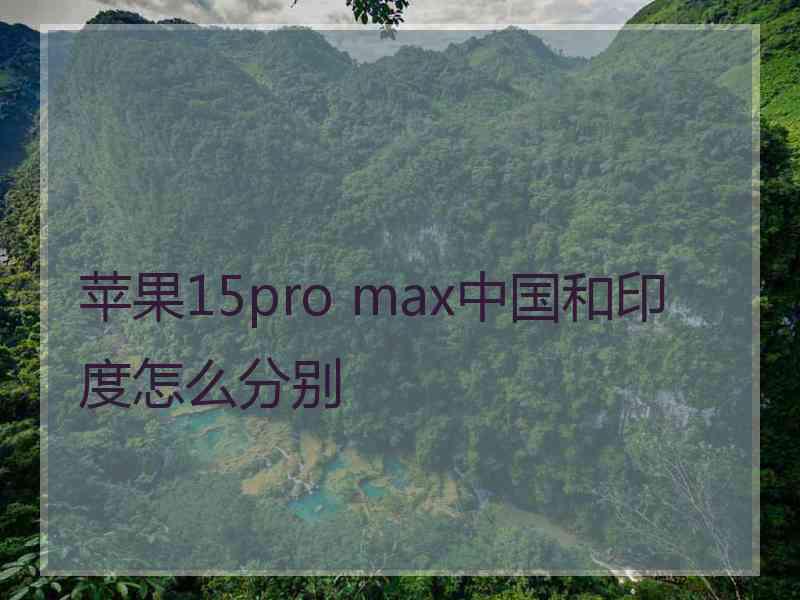 苹果15pro max中国和印度怎么分别