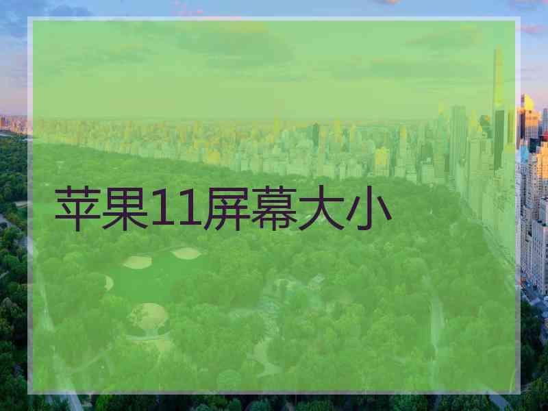 苹果11屏幕大小