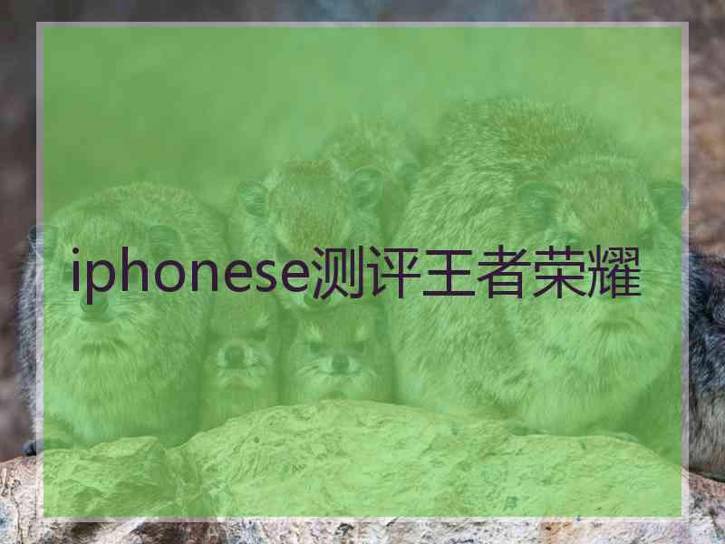 iphonese测评王者荣耀