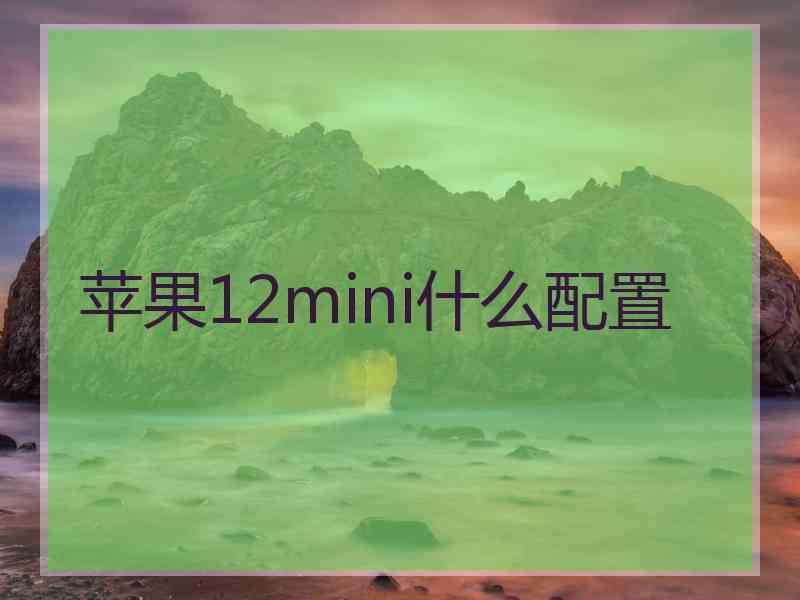 苹果12mini什么配置