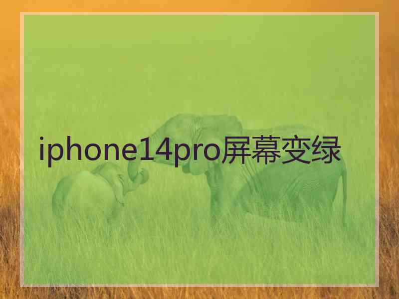 iphone14pro屏幕变绿