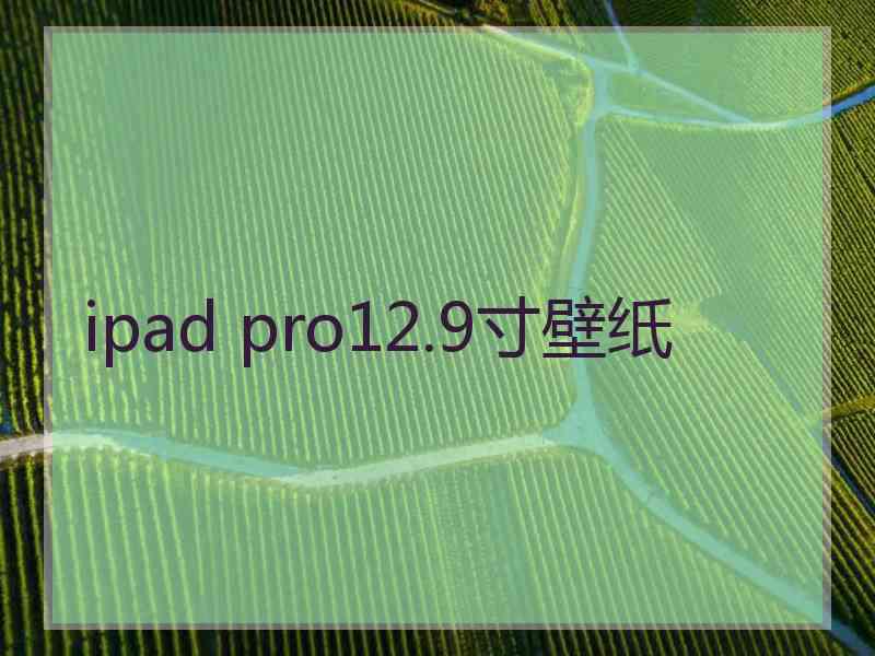 ipad pro12.9寸壁纸