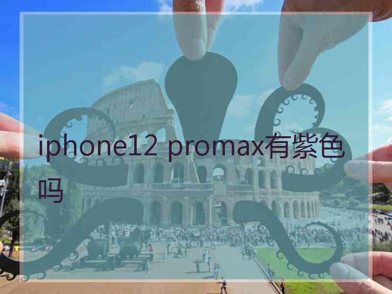 iphone12 promax有紫色吗