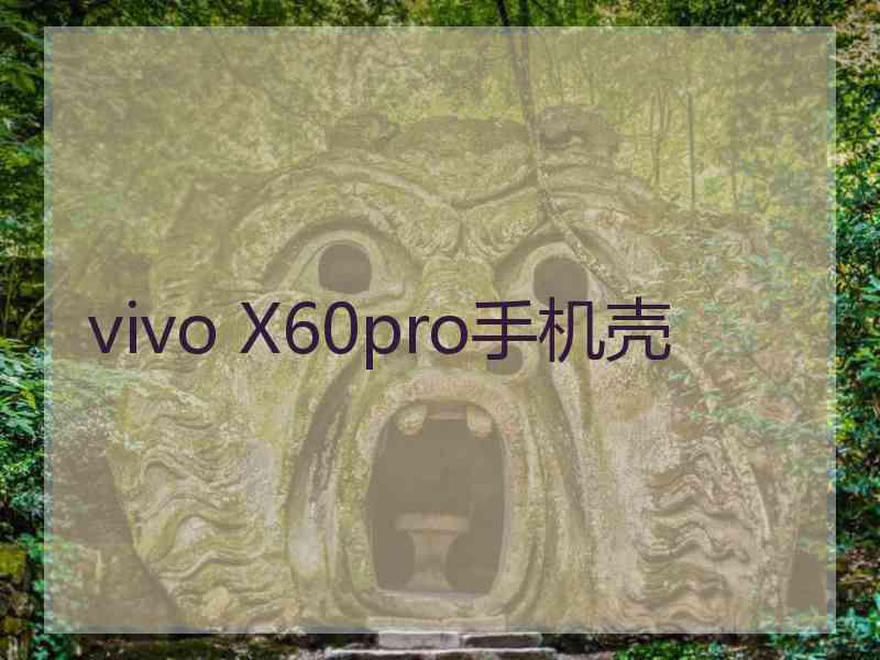 vivo X60pro手机壳