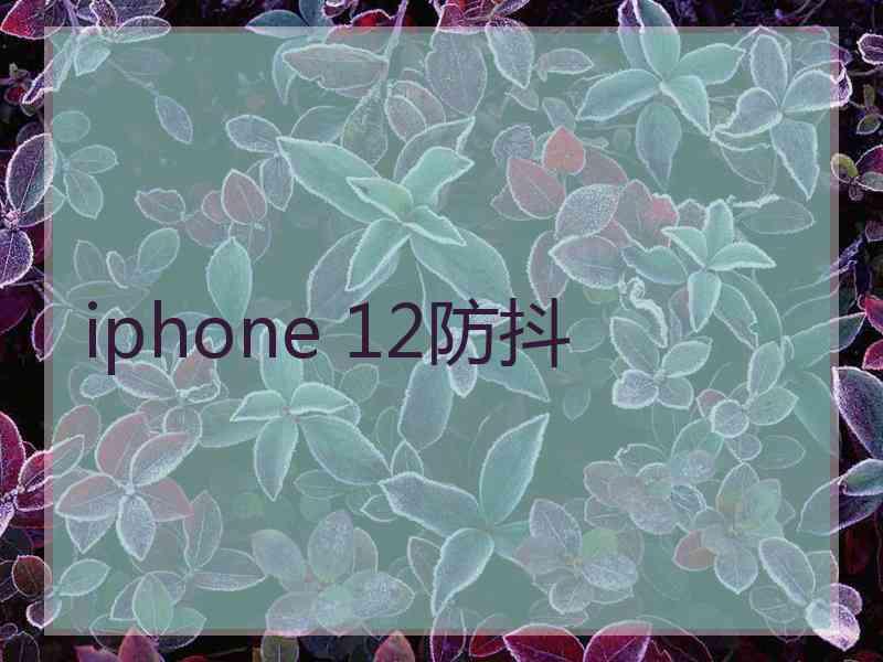 iphone 12防抖