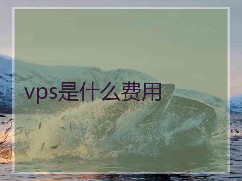 vps是什么费用