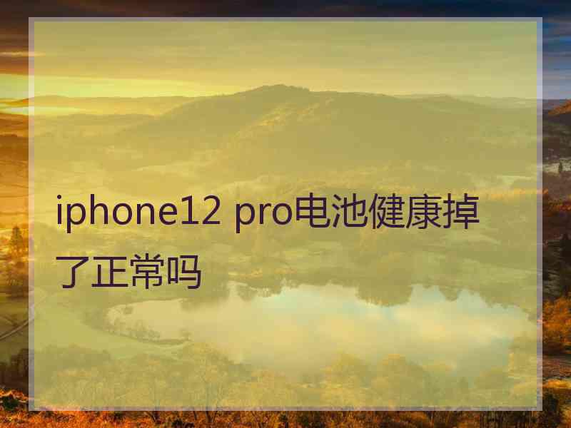 iphone12 pro电池健康掉了正常吗