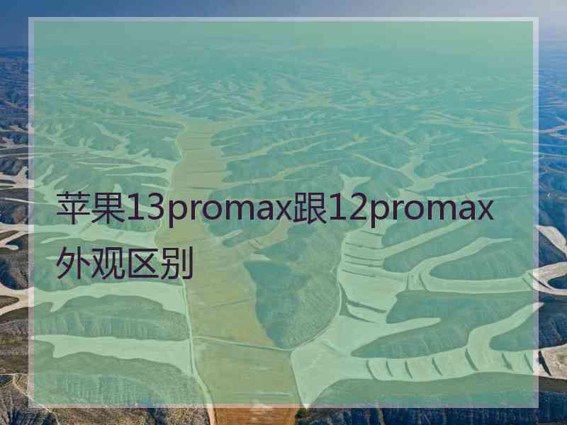 苹果13promax跟12promax外观区别