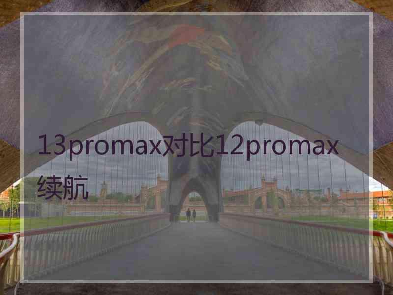 13promax对比12promax续航