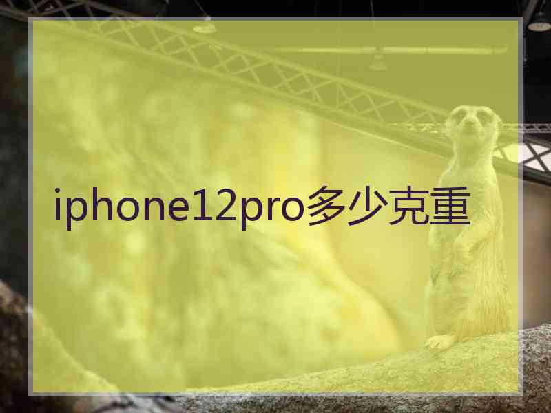 iphone12pro多少克重