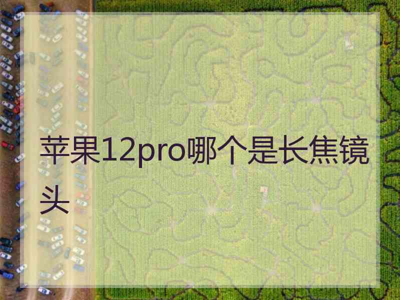 苹果12pro哪个是长焦镜头