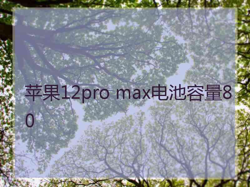 苹果12pro max电池容量80