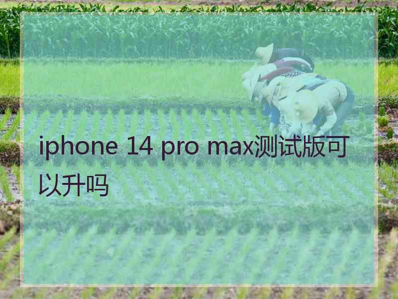 iphone 14 pro max测试版可以升吗