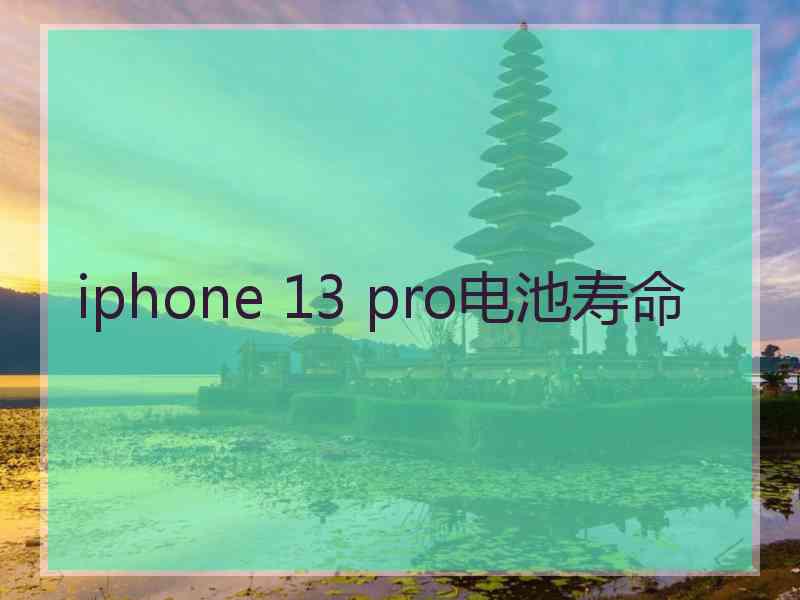 iphone 13 pro电池寿命