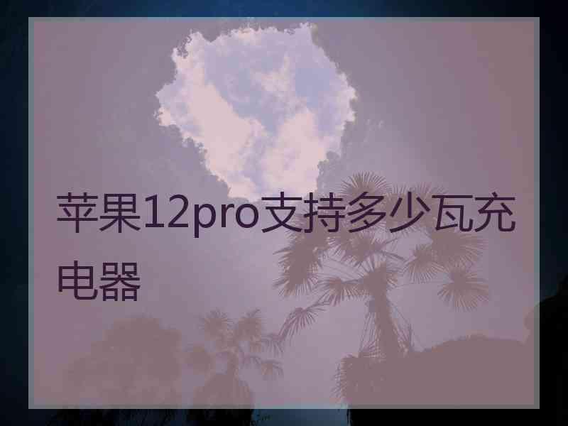 苹果12pro支持多少瓦充电器