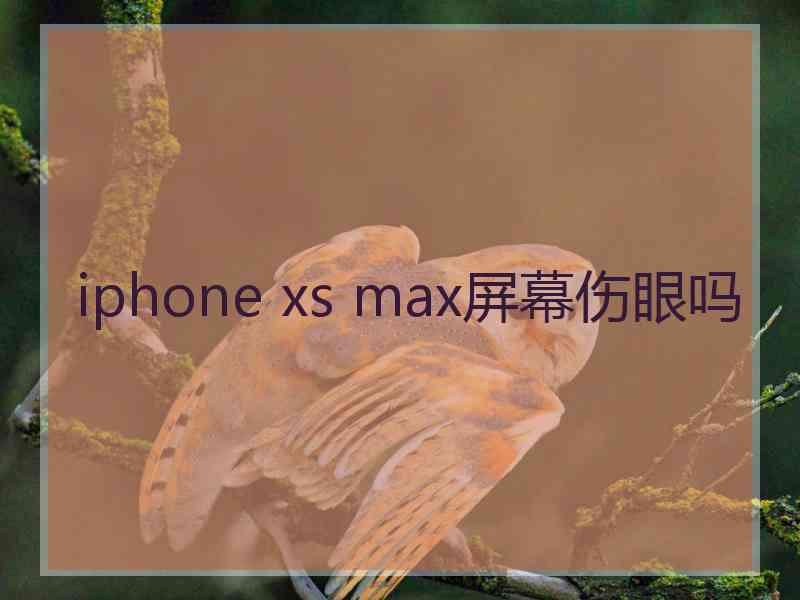 iphone xs max屏幕伤眼吗