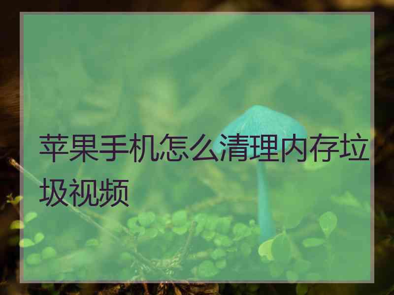 苹果手机怎么清理内存垃圾视频