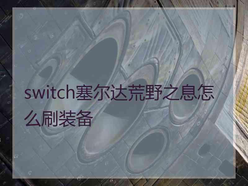 switch塞尔达荒野之息怎么刷装备