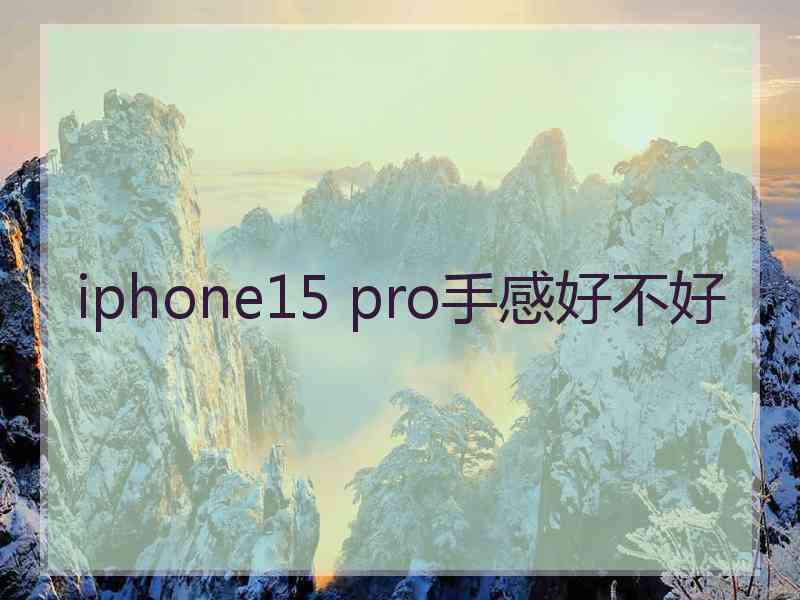 iphone15 pro手感好不好