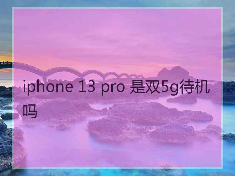 iphone 13 pro 是双5g待机吗