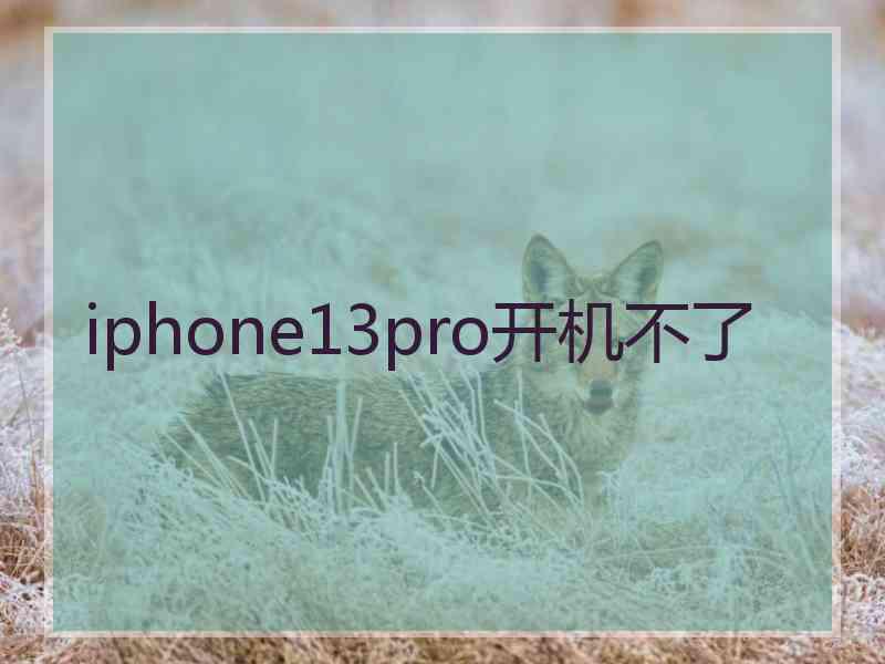 iphone13pro开机不了