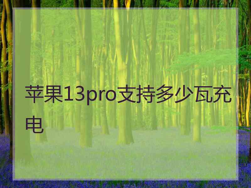 苹果13pro支持多少瓦充电