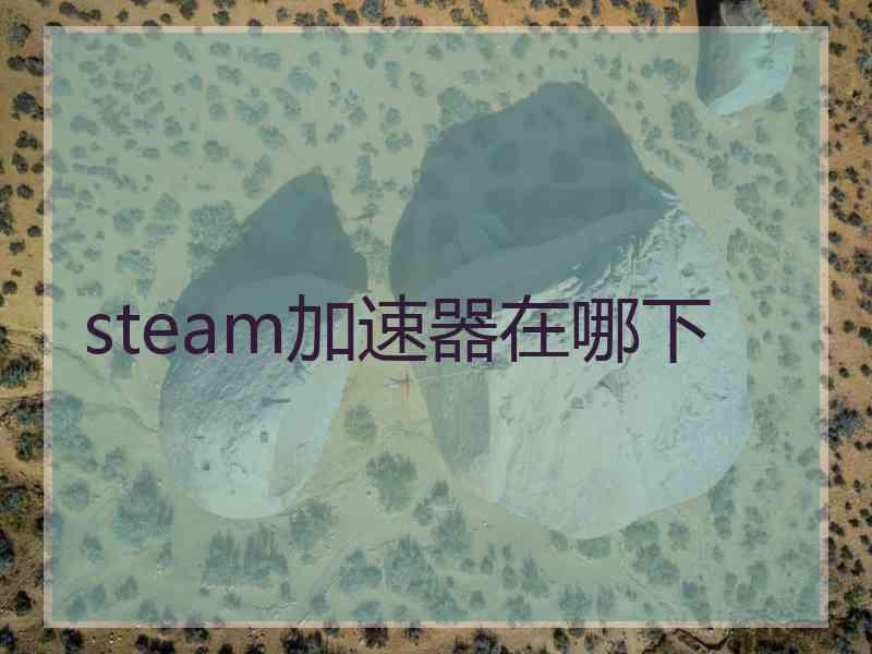 steam加速器在哪下