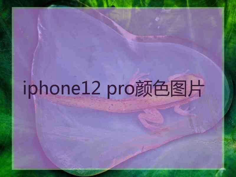 iphone12 pro颜色图片