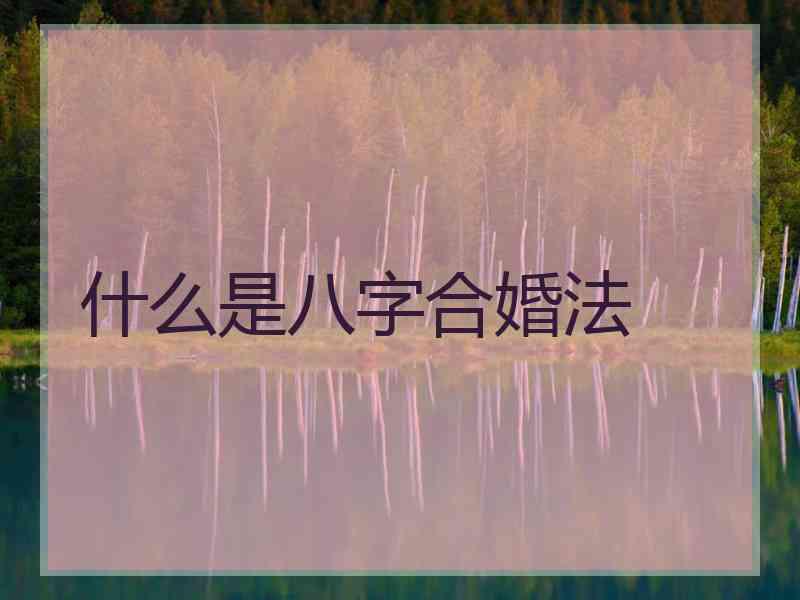 什么是八字合婚法