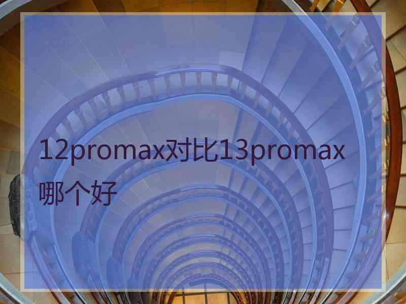 12promax对比13promax哪个好