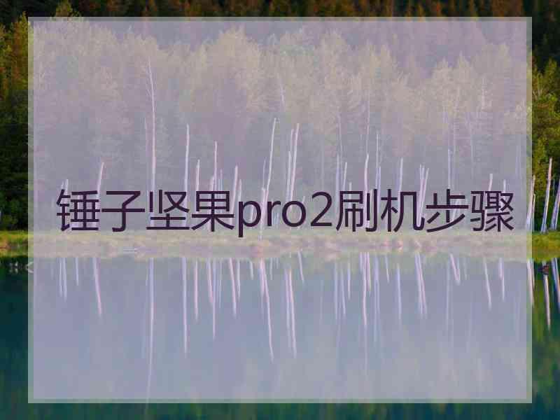 锤子坚果pro2刷机步骤