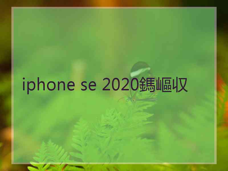 iphone se 2020鎷嶇収