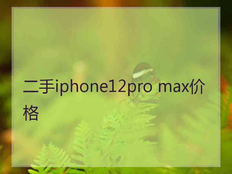 二手iphone12pro max价格