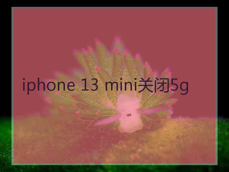 iphone 13 mini关闭5g