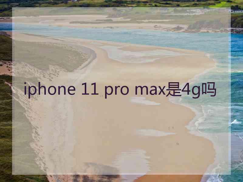 iphone 11 pro max是4g吗