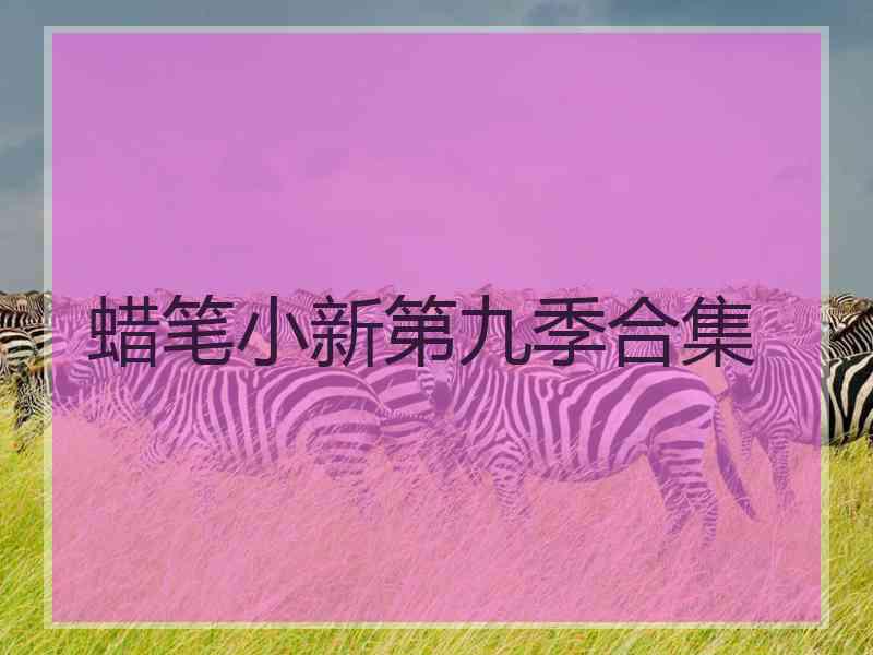 蜡笔小新第九季合集